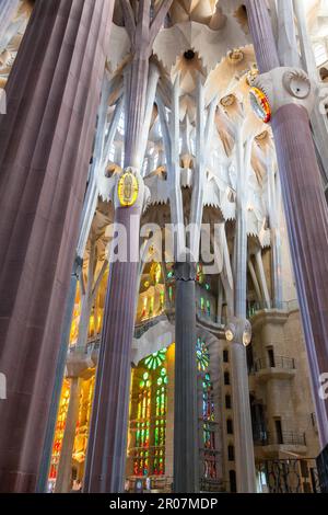 Die Sonne scheint durch die Buntglasfenster des Meisterwerks von Gaudis: La Sagrada Familia Stockfoto