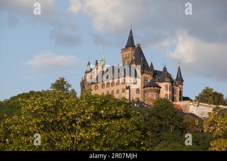 Farbenfrohe Stadt am Harz Mountains mit Blick auf die Burg Wernigerode Stockfoto