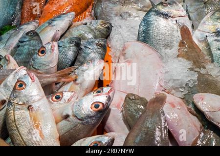 Verschiedene Fischarten, die auf dem Markt verkauft werden Stockfoto