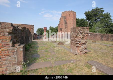 Michaelskloster am Heiligenberg, Heidelberg, Bergstraße, Baden-Württemberg Stockfoto