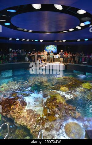 New England Aquarium, zentrale Wharf Boston, Massachusetts, USA Stockfoto