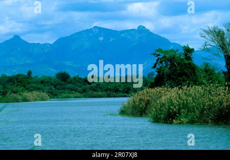 Usambara-Berge, Tansania Stockfoto