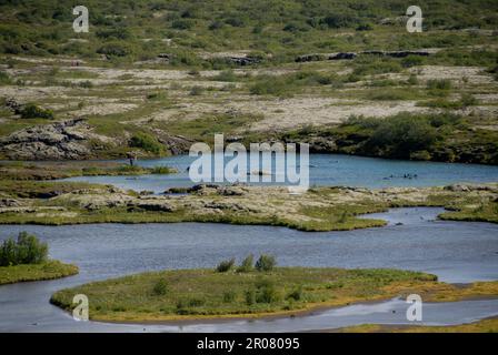 Thingvellir, Island. 02. Aug. 2022. Der Nationalpark Thingvellir ist eine Touristenattraktion am Golden Circle in Island. Island ist Europas westlichstes Land im Nordatlantik. Kredit: Finn Huwald/dpa/Alamy Live News Stockfoto