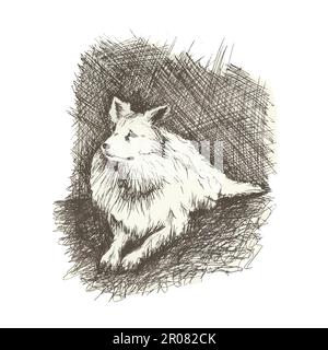 Vektor-Hund in Anddrawn Stil durch Feder, Retro-Hound Gravur Stock Vektor