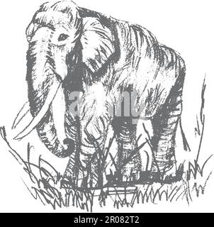 Vektor Gravur Elefant, Elephant veranschaulichen Stock Vektor