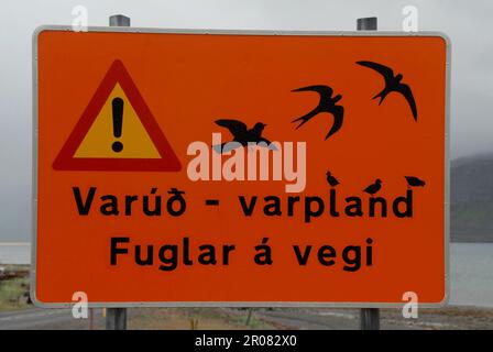 Westfjoren, Island. 26. Juli 2022. Ein Schild mit der Aufschrift "Varúð - varpland - Fuglar á vegi" (in deutscher Sprache "Vorsicht - Brutplatz, Vögel auf der Straße"), das auf einer Straße zu sehen ist. Das Warnschild in Islands West Fjorden warnt Fahrer vor Vögeln auf der Straße. Kredit: Finn Huwald/dpa/Alamy Live News Stockfoto