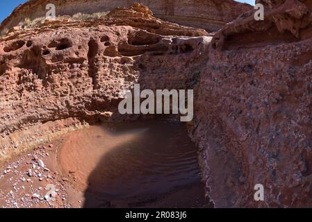 Unter einem Wasserfall im North Fork des Lower Soap Creek Canyon in Marble Canyon, Arizona. Stockfoto