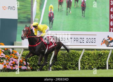 Rennen 5, LUCKY SWEYNESSE, geritten von Zac Purton, gewann DEN CHAIRMAN's SPRINT PREIS (Gruppe 1, 1200m) in Sha Tin. 30. April 23 SCMP/Kenneth Chan. Stockfoto