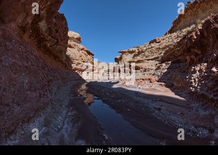 Ein Nebenfluss, der in den North Fork des Lower Soap Creek Canyon in Marble Canyon Arizona mündet. Stockfoto