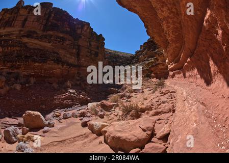 Eine schmale Kurve in der südlichen Gabelung des Soap Creek Canyon am Marble Canyon Arizona. Stockfoto