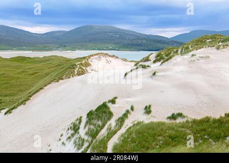 Dünenlandschaft mit weißem Sand und Marram Grass, Luskentyre Beach, Harris, Isle of Harris, Äußere Hebriden, Western Isles, Schottland, Vereinigtes Königreich Stockfoto