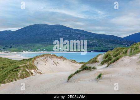 Sanddünen und Marram Grass, Luskentyre Beach, Harris, Isle of Harris, Hebriden, Outer Hebrides, Western Isles, Schottland, Großbritannien Stockfoto