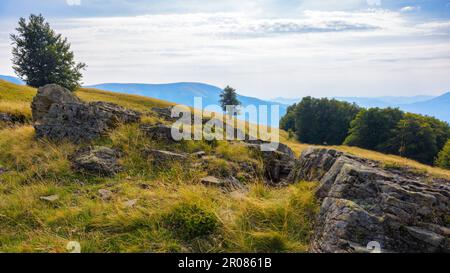 Berglandschaft im Sommer. Bewaldete Hügel und Wiesen. Landschaften an einem sonnigen Nachmittag Stockfoto