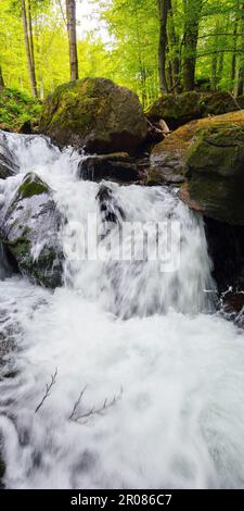 Wasserfall zwischen den Felsen. creek im Wald. Klares Wasser in der Natur Stockfoto