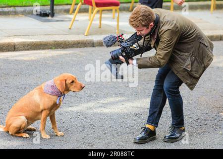 London, Großbritannien. 07. Mai 2023. Der britische Premierminister Rishi Sunak, seine Frau Akshata Murty, die Töchter Krishna und Anoushka und Labrador Nova veranstalten in der Downing Street ein köstliches Mittagessen mit besonderen Gästen, Dr. Jill Biden, die First Lady der USA, und ihre Enkelin Finnegan. Community-Helden, ukrainische Familien, Empfänger des Points of Light Award, Jugendgruppen und andere versammeln sich heute in der Downing Street zu einem besonderen Krönungsessen. Kredit: Imageplotter/Alamy Live News Stockfoto