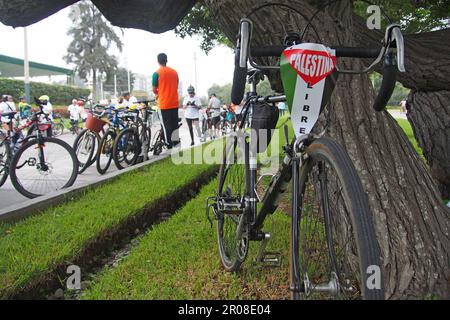 "Freies Palästina" kann man auf einem Banner auf einem Fahrrad lesen, wenn Tausende von Menschen an der jährlichen Fahrradtour am Nakba-Tag teilnehmen, die durch die Straßen von Lima zur Unterstützung des palästinensischen Volkes verläuft. Die Fahrt wird jedes Jahr von der Botschaft des Staates Palästina in Peru organisiert, um der Nakba-Katastrophe oder der großen palästinensischen Katastrophe zu gedenken. Nakba, Mai 15., ist das Datum, an dem am 1948, Die Vertreibung des palästinensischen Volkes und der Verlust seiner Heimat durch die Gründung des Staates Israel begannen. Stockfoto