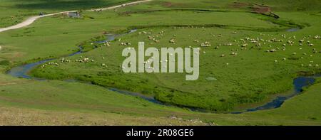 Auf dem Persembe-Plateau. Sommer ist Highland-Zeit. Schwarzmeerregion. Aybasti, Ordu Stadt, Türkei Stockfoto