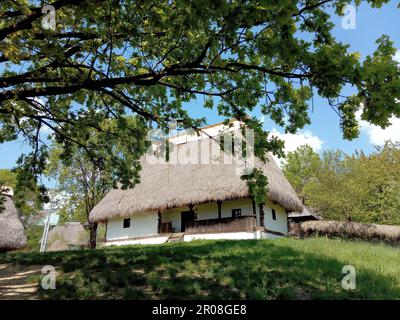 Traditionelles altes Haus im Dorfmuseum in Baia Mare, Maramures, Rumänien Stockfoto