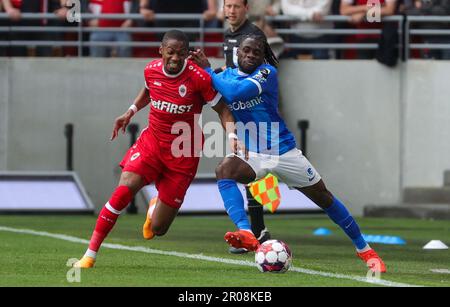 Genks Joseph Paintsil und Antwerpens Michel Ange Balikwisha kämpfen um den Ball während eines Fußballspiels zwischen dem Royal Antwerpen FC RAFC und KRC Genk, Sonntag, den 07. Mai 2023 in Antwerpen, am 2. Tag der Spiele der Champions in der ersten Liga der „Jupiler Pro League“ der belgischen Meisterschaft. BELGA PHOTO VIRGINIE LEFOUR Stockfoto