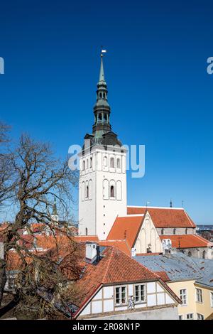 Der Glockenturm von St. Nicholas-Kirche oder Niguliste Kirik vor klarem blauen Himmel an einem sonnigen Frühlingstag in Vanalinn, der Altstadt von Tallinn, Estland Stockfoto