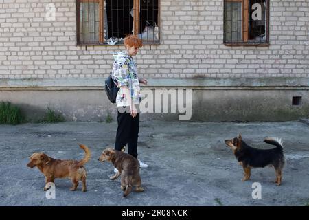 Orichhiv, Ukraine. 06. Mai 2023. Ein Mädchen steht mit streunenden Hunden im Zentrum von Orikhiv. Russische Streitkräfte beschießen regelmäßig die Oblast Zaporizhzia und haben die Zahl der Truppen in der Region erhöht, so Bürgermeister Ivan Fedorov von Melitopol. Nach russischen Quellen ist die Oblast Zaporizhzhia eines der wahrscheinlichen Gebiete für die lang erwartete ukrainische Gegenoffensive. Kredit: SOPA Images Limited/Alamy Live News Stockfoto