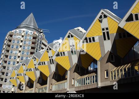 Rotterdam, NL, eine Reihe von Piet Bloms Würfelhäusern, die in den 1970er Jahren mit seinen Blaaktoren oder dem Pencil an einem sonnigen Tag dahinter entworfen wurden. Stockfoto