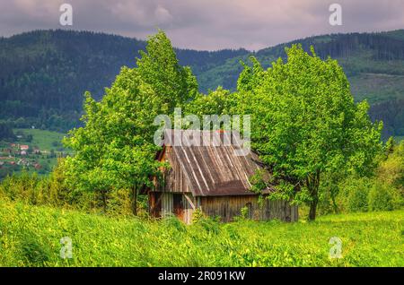 Grüne Berglandschaft im Frühling. Blick auf die Holzhütte auf der Lichtung inmitten der Bäume, Beskiden, Polen. Stockfoto