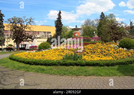 Vrnjacka Banja Stadtzentrum Stockfoto