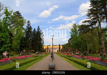 Vrnjacka Banja Stadtzentrum Stockfoto