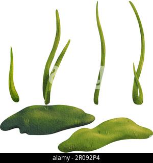 Set aus grünem Frühlings- oder Sommergras. Isolierte Aquarell-Illustration zur Erstellung Ihrer eigenen Komposition: Lehrbuch, Arbeitsbuch, Übungshandbuch, Drucken Stockfoto