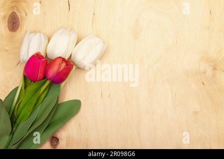 Tulpenblumen auf Holzhintergrund mit Kopierraum. Skurrile Tulpen blühen auf strukturiertem Holz. Stockfoto