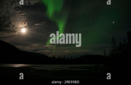 Nordlichter über dem Nahanni River, Northwest Territories, Kanada. Aurora borealis reflektiert das fließende Wasser bei Vollmond. Stockfoto