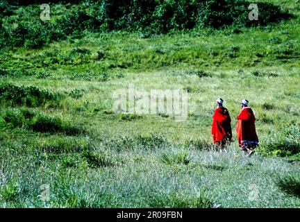 Masai-Frauen in traditioneller Kleidung wandern über ein Feld im Ngorogoro Conservation Area in Tansania. Stockfoto