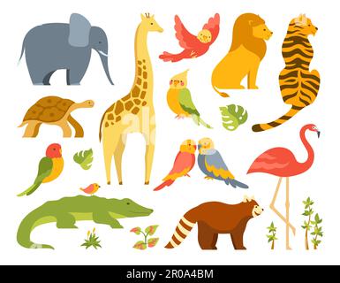 Tropische exotische Tiere süßes Cartoon-Set. Lustiger hawaiianischer Papagei, afrikanischer Safari-Löwe, Tiger, Giraffen-Elefant, Dschungelkrokodil. Tropische Schildkröte, Flamingo-Kinderabbildung. Design-Vögel und -Tiere Stock Vektor