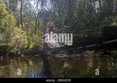 Überqueren Sie den Loddon River auf dem Weg zum Frenchmans Cap Stockfoto