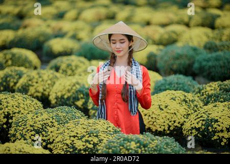 8. Januar 2023: Porträt eines wunderschönen vietnamesischen Mädchens im Himbeer-Chrysanthemen-Garten in Sa DEC Stockfoto