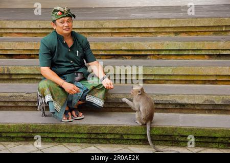 Ubud, Bali, Indonesien - September 6: Offizielle Affenwache mit kleinem Affen im heiligen Affenschutzwald - eine beliebte Touristenattraktion Stockfoto