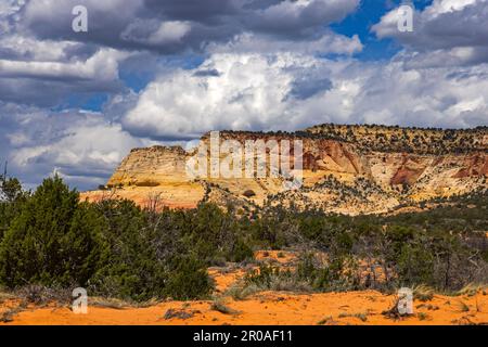 Ein Blick auf Diana's Throne, ein spektakuläres mesa, das auf dem BLM-Land entlang der U.S. 89 etwa 4 km südöstlich von Mt. Carmel Junction, Kane County, Utah, USA. Stockfoto