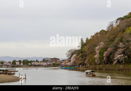 Boote auf dem Katsura River im wunderschönen Kameyama Park in Arashiyama, Kyoto, Japan Stockfoto