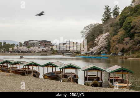 Boote auf dem Katsura River im wunderschönen Kameyama Park in Arashiyama, Kyoto, Japan Stockfoto