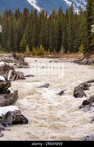 Unglaubliche Landschaft in der Nähe des Banff National Park im Frühling mit türkisfarbenem Wasser, das durch die Wildnis mit schneebedeckten Bergen fließt. Stockfoto