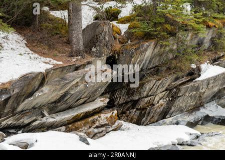 Unglaubliche Landschaft in der Nähe des Banff National Park im Frühling mit türkisfarbenem Wasser, das durch die Wildnis mit schneebedeckten Bergen fließt. Stockfoto