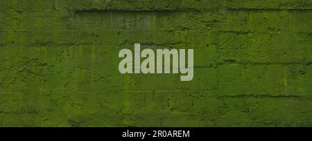 Alter moosiger Betonwandboden Stockfoto