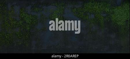 Alter moosiger Betonwandboden Stockfoto