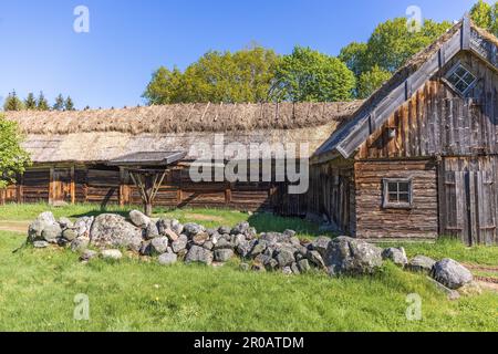 Alte Holzscheune mit Strohdach auf dem Land Stockfoto