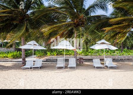Strand mit Sonnenschirmen und Sonnenliegen, Hotel Saigon Ninh Chu Resort, Phan Rang, Südchinesisches Meer, Provinz Ninh Thuan, Phan Rang, Vietnam, asien Stockfoto