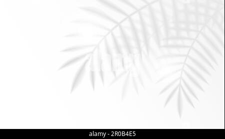 Vector Palm Leaf Silhouette Illustration mit Textabstand auf einem lebendigen gelben Hintergrund. Stock Vektor