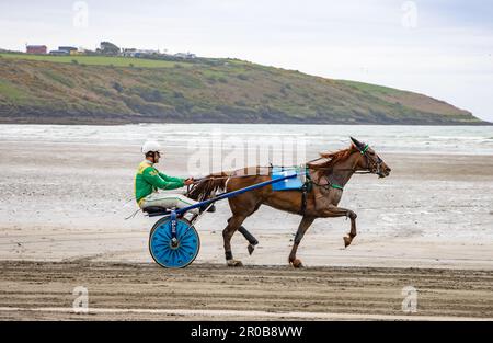 Trabrennen am Harbour View Beach, Kilbrittain, Co. Cork. Mai 2023 Stockfoto