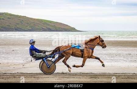 Trabrennen am Harbour View Beach, Kilbrittain, Co. Cork. Mai 2023 Stockfoto