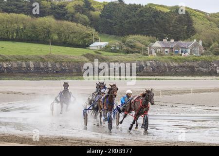 Trabrennen am Harbour View Beach, Kilbrittain, Co. Cork. Mai 2023 Stockfoto